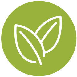 100% Natural Plant Based Air Fresheners Non Toxic