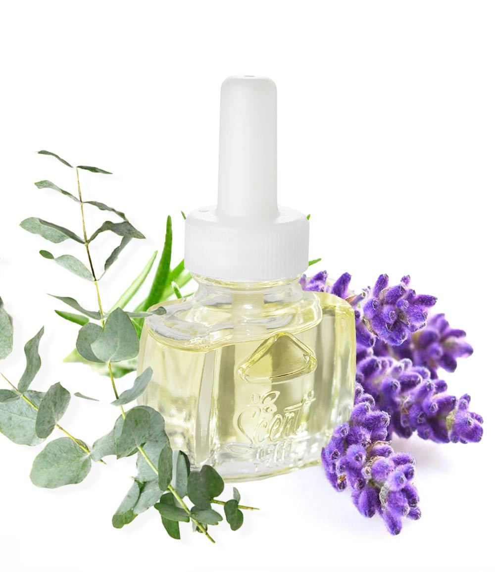 Eucalyptus Refill for AirWick and Glade