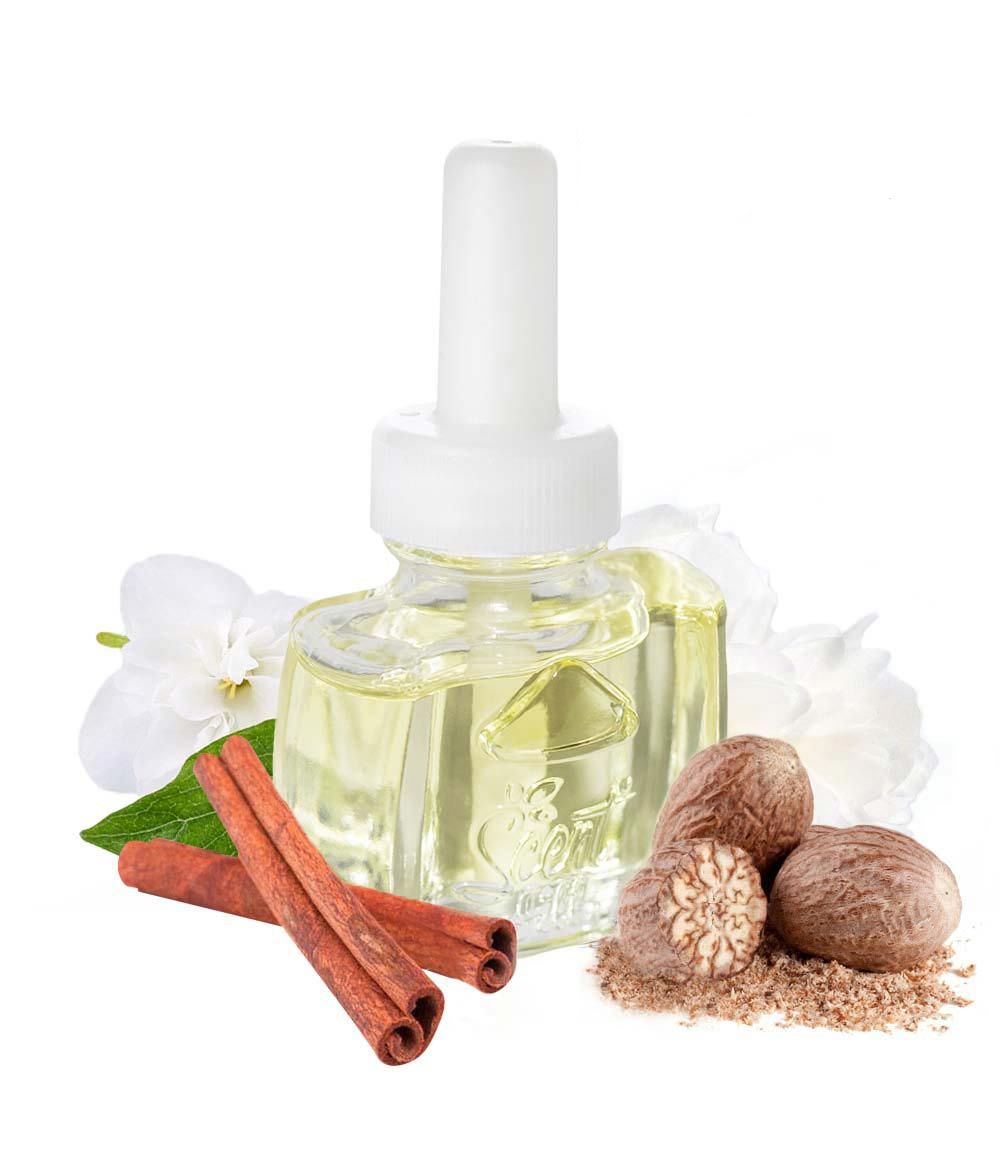 cinnamon spicy pumpkin plugin for air wick