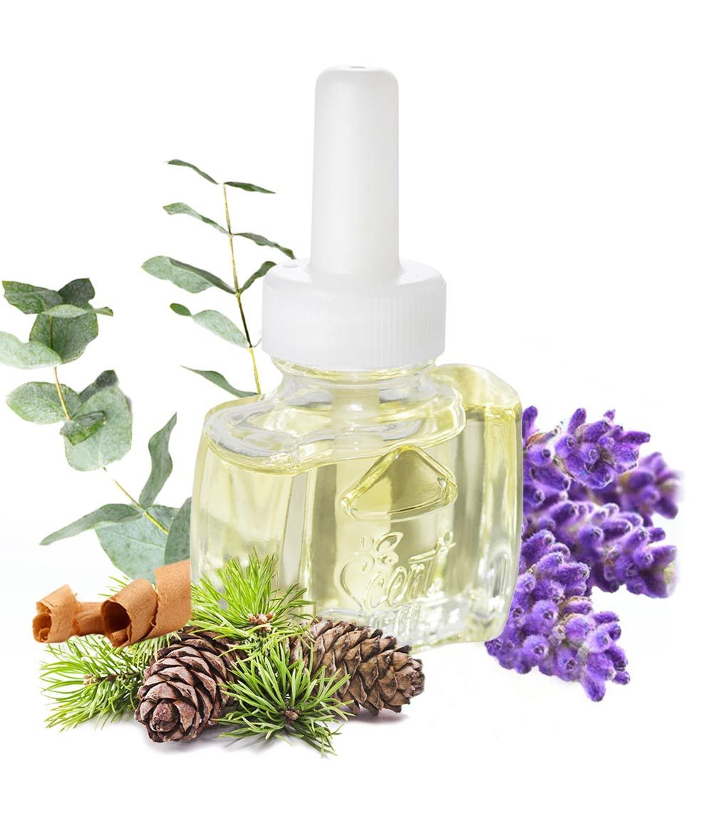 Warm Spice Refill For Glade and Air Wick