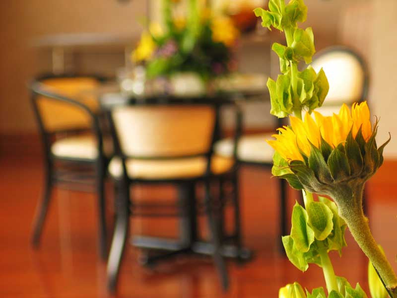 Air Freshener selection Spas Restaurants and Hotells