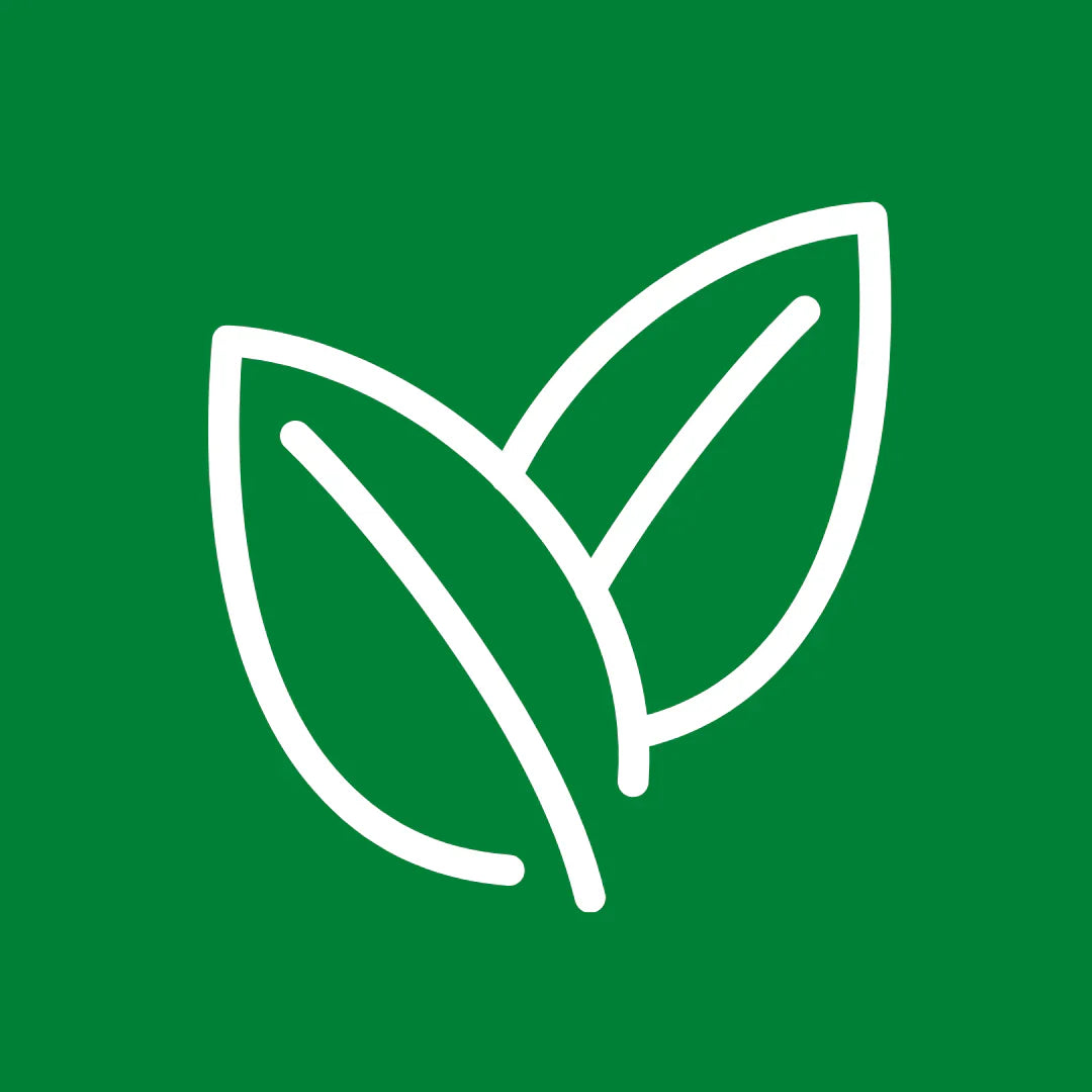 Green Plug in Air Fresheners