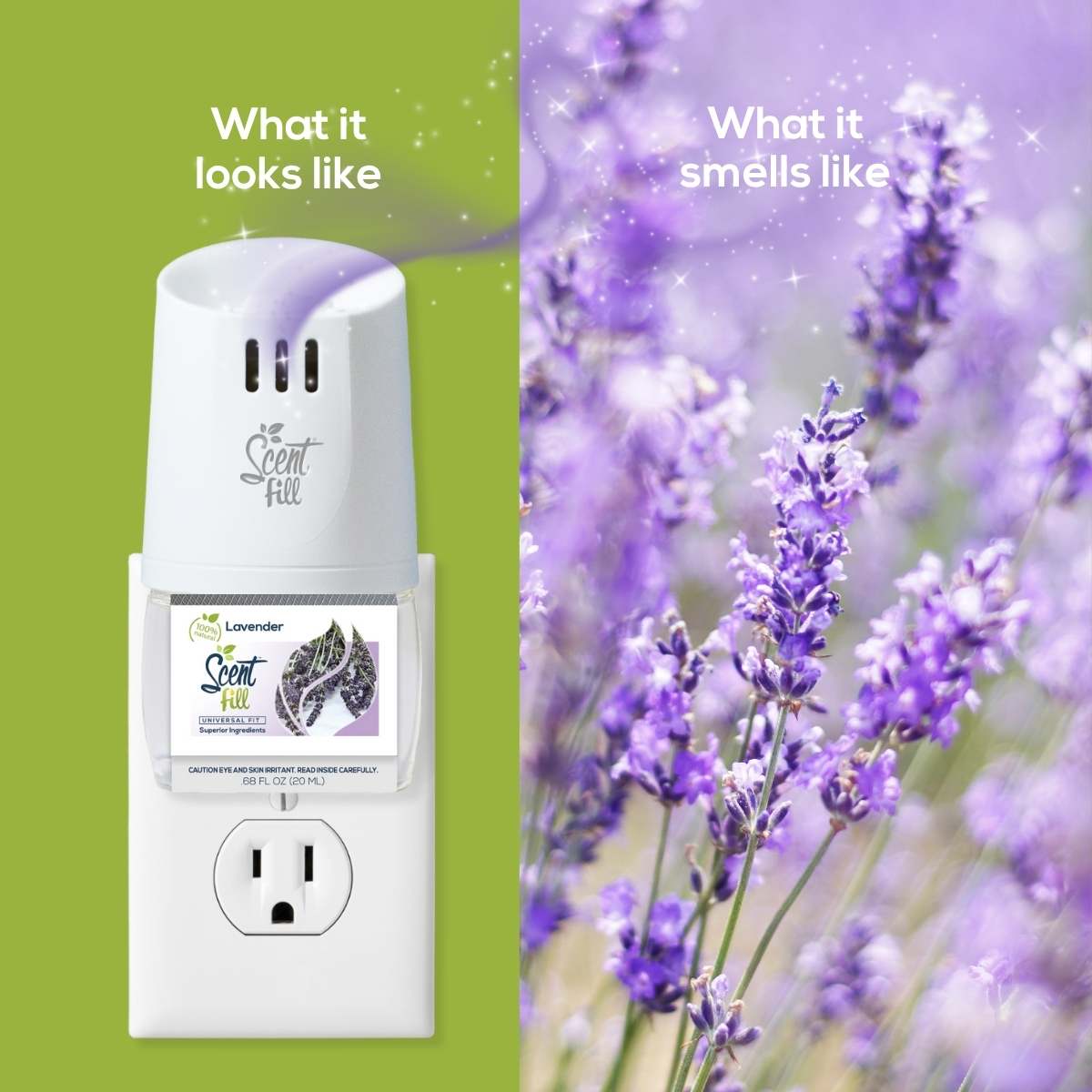Lavender Scent Profile Visual infographic