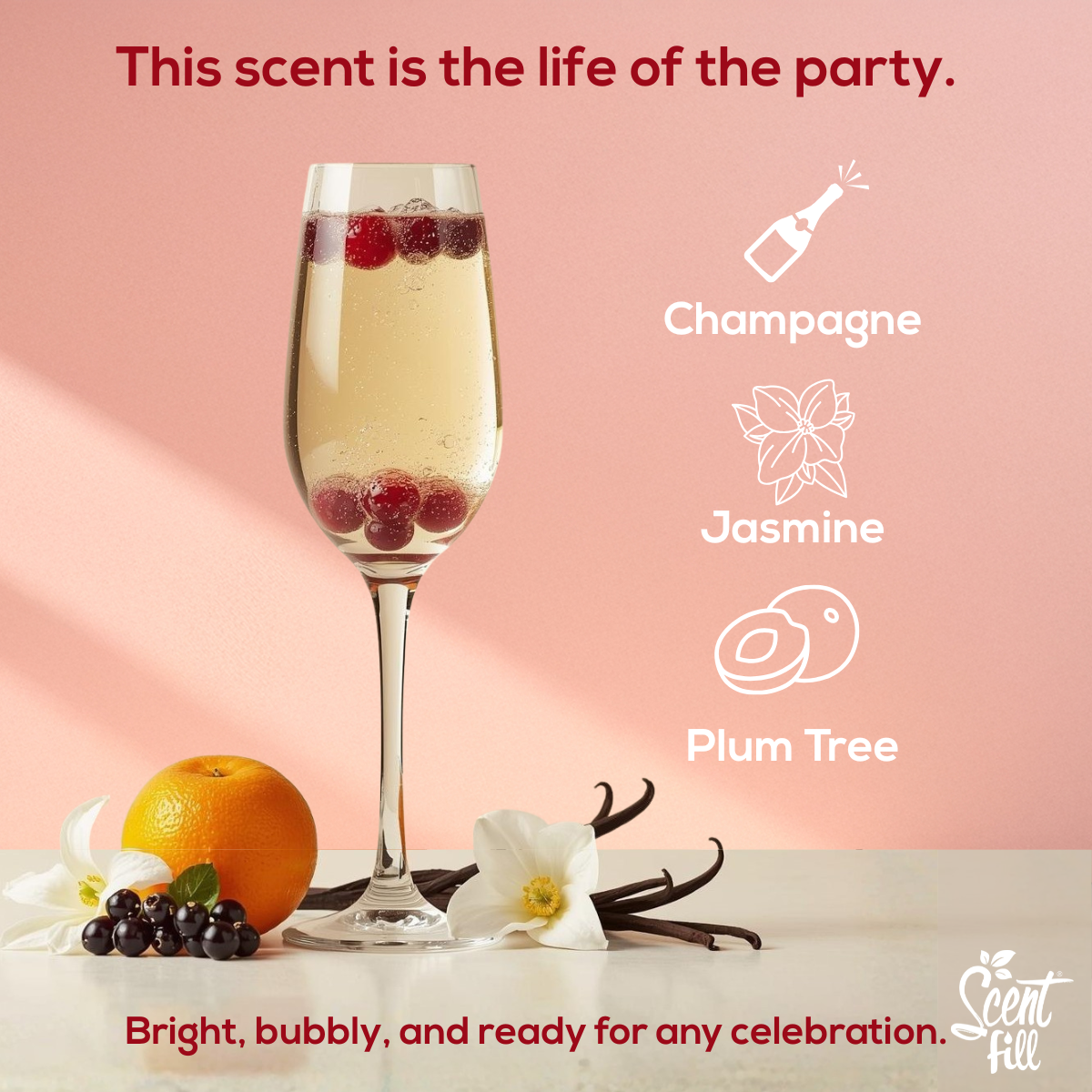 NEW! Champagne Bubbles Kit