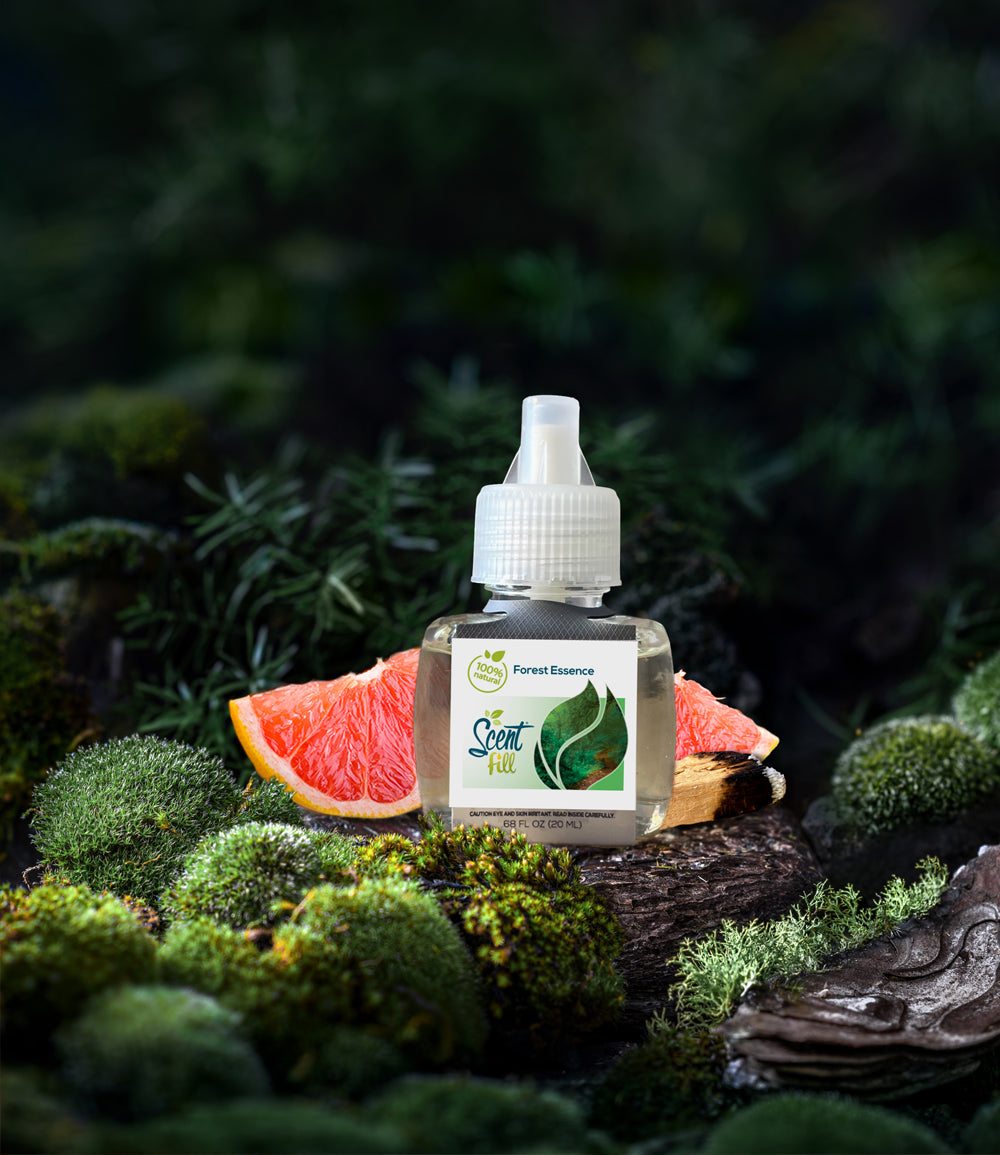 100% Natural Plug In Air Freshener Forest Essence Lifestyle Image of Refill bottle on the forest floor illuminated by the golden sun.