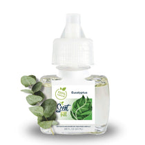 Scent Fill Eucalyptus fragrance refill bottle on a white background with a sprig of fresh eucalyptus leaves placed beside it.