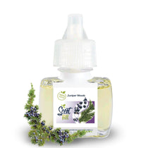 Scent Fill Juniper Woods plug-in air freshener refill bottle with pale liquid, white cap, and a juniper branch with blue berries on a light background.