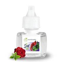 Scent Fill Sweet Rose & Basil plug-in air freshener refill bottle shown with a red rose and fresh basil leaves on a white background.