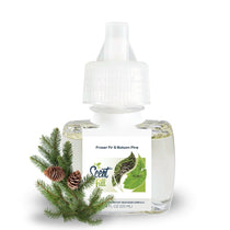 Scent Fill Fraser Fir & Balsam Pine plug-in refill bottle displayed with evergreen sprigs and pinecones on a clean white background.