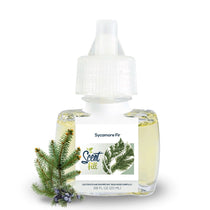Scent Fill Sycamore Fir fragrance refill bottle on a white background with a small evergreen branch and blue berries placed beside it.