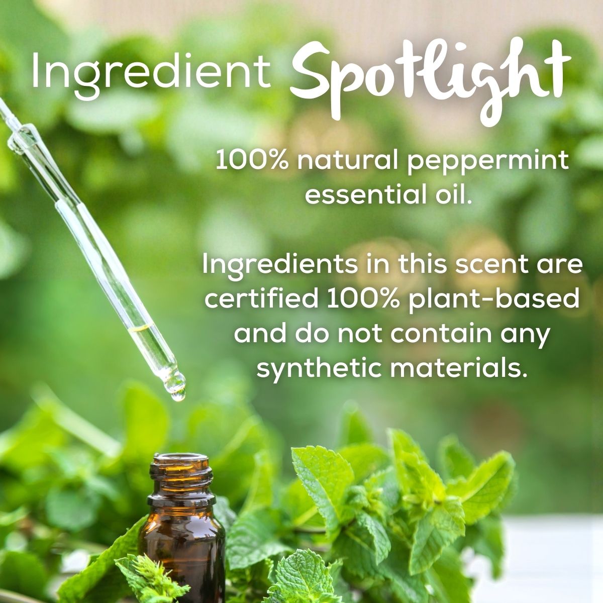 Ingredient spotlight graphic showing peppermint essential oil with a dropper bottle, fresh mint leaves, and text highlighting 100% plant-based ingredients with no synthetic materials.