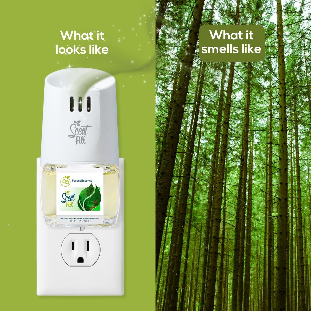 Split comparison graphic showing a Forest Essence Scent Fill plug-in diffuser on an outlet under “What it looks like” and a tall green forest under “What it smells like.”