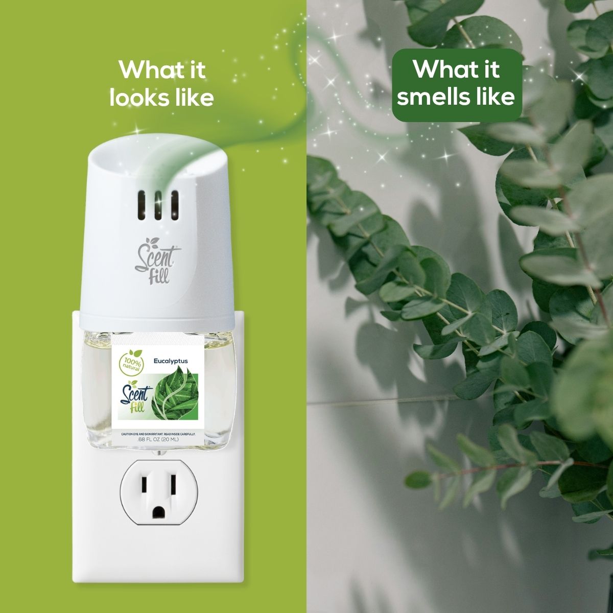 Split comparison graphic showing a Scent Fill plug-in diffuser with Eucalyptus fragrance bottle on the left under “What it looks like,” and fresh eucalyptus branches on the right under “What it smells like.”