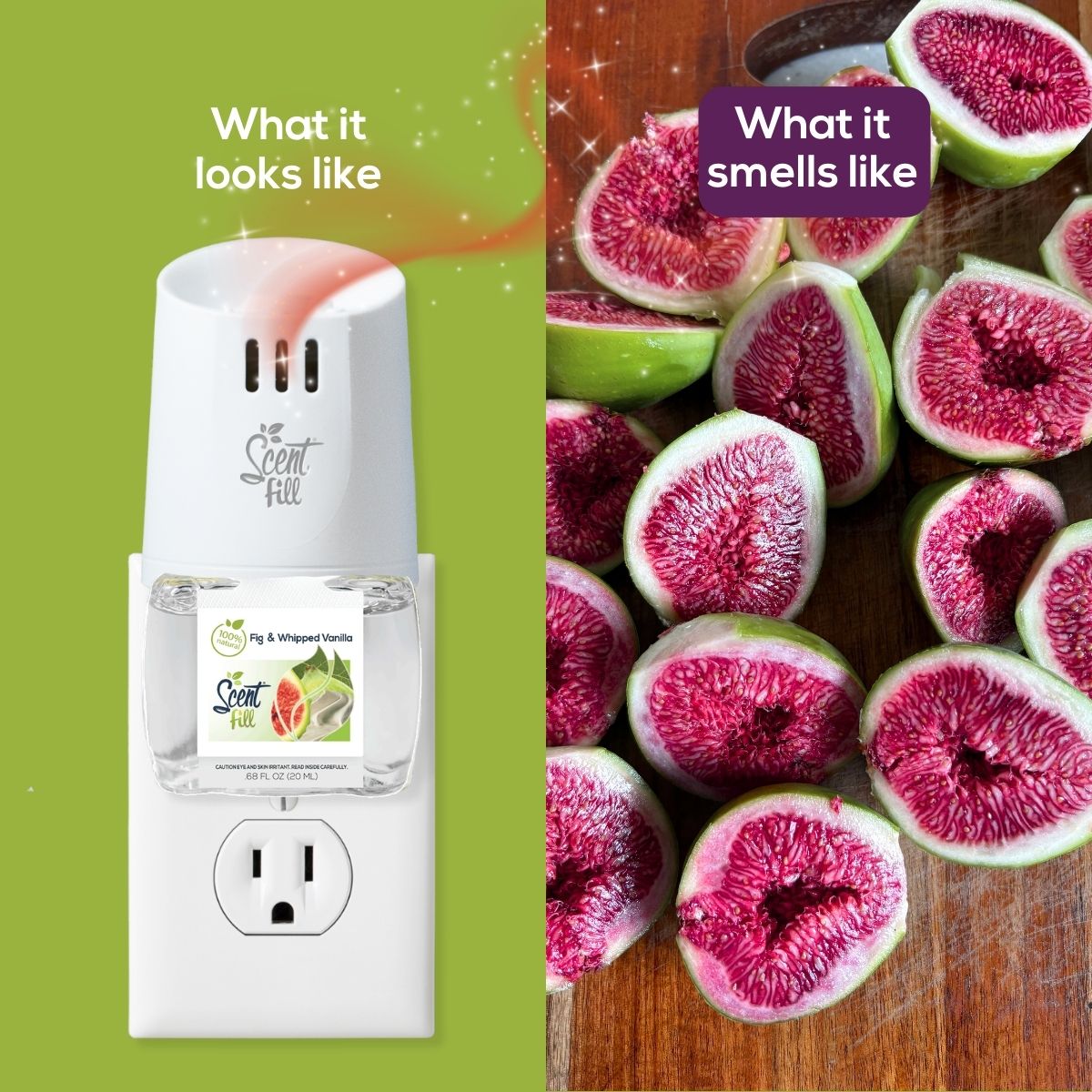Split comparison graphic showing a Fig & Whipped Vanilla Scent Fill plug-in diffuser on an outlet under “What it looks like” and sliced fresh figs under “What it smells like.”