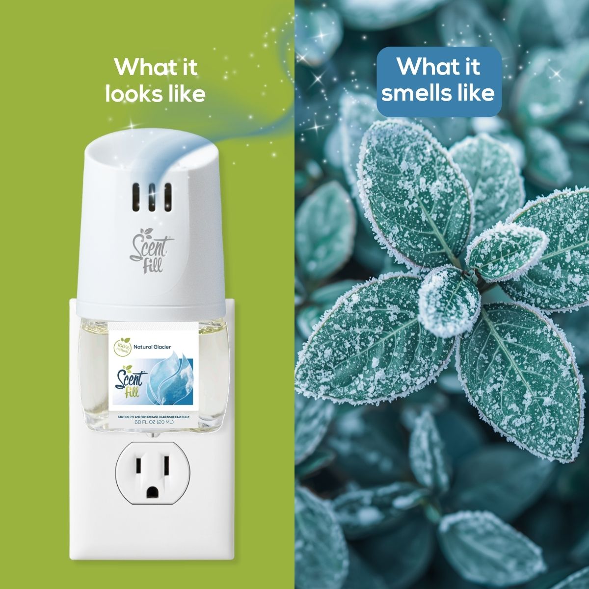 Scent Fill Natural Glacier plug-in air freshener shown in an outlet beside frosted leaves, comparing what the product looks like with what it smells like.