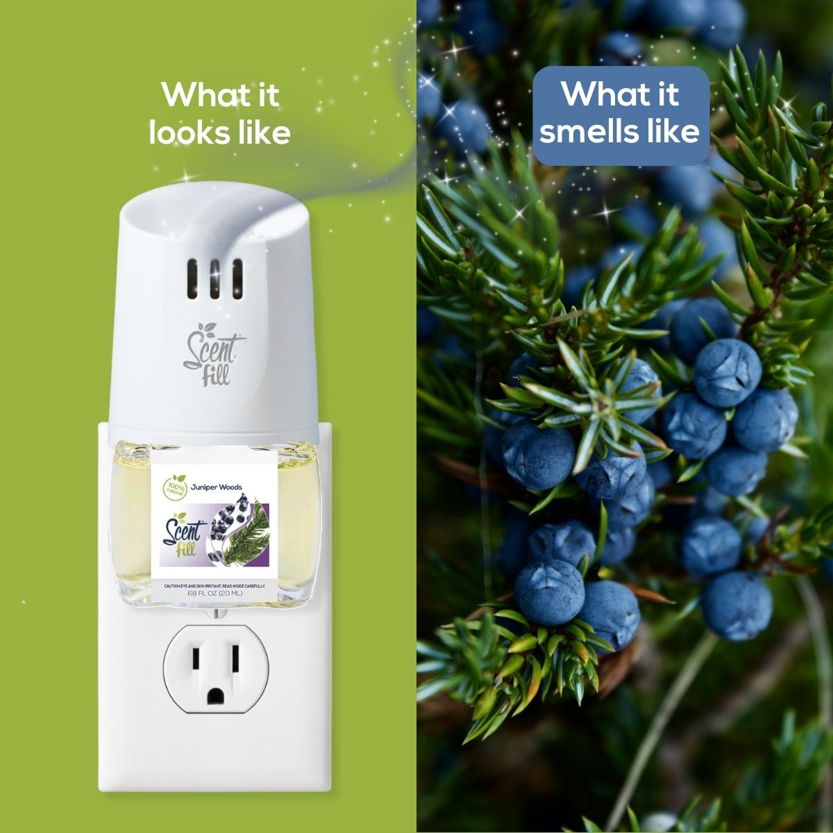 Split comparison graphic showing a Juniper Woods Scent Fill plug-in diffuser on an outlet under “What it looks like” and a close-up of juniper berries on evergreen branches under “What it smells like.”