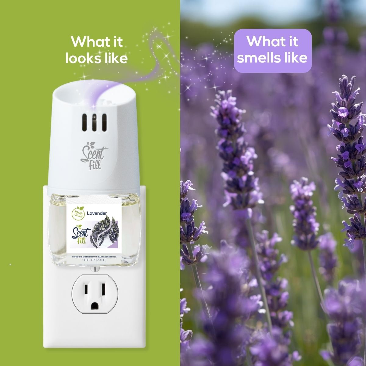 lavender plant plugs Scent Fill 100% Natural Lavender Plug in Refill Air Freshener, 3 Scented Oil Refills