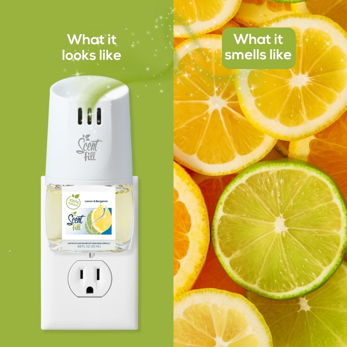 Split comparison graphic showing a Lemon & Bergamot Scent Fill plug-in diffuser on an outlet under “What it looks like” and sliced lemon, orange, and lime under “What it smells like.”