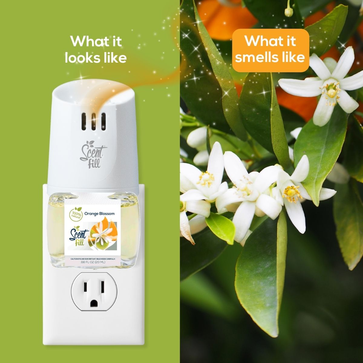 Scent Fill diffuser with orange blossom flowers and green leaves on a green background