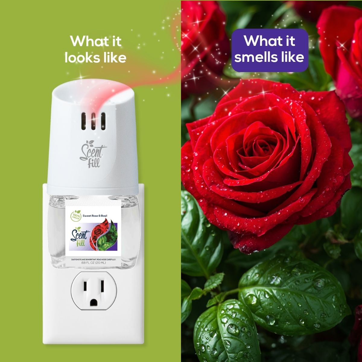 Scent Fill Sweet Rose & Basil plug-in air freshener shown in an outlet beside a red rose and basil leaves, comparing what the product looks like with what it smells like.