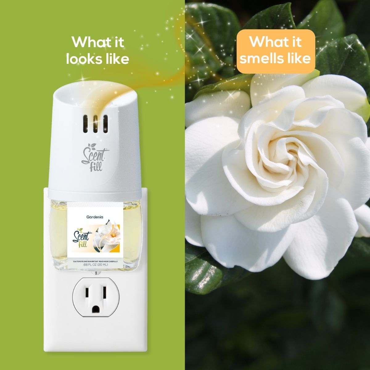 Split comparison graphic showing a Scent Fill plug-in diffuser with Gardenia fragrance bottle on the left under “What it looks like,” and a close-up of a white gardenia bloom on the right under “What it smells like.”