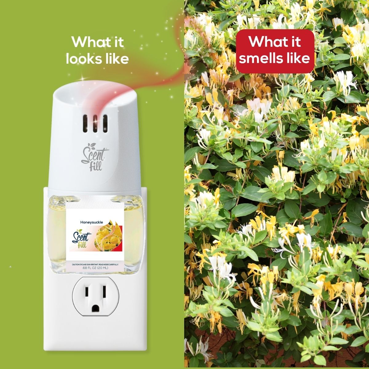 Split image showing a Scent Fill Honeysuckle plug-in air freshener on the left and blooming honeysuckle vines on the right, illustrating what the product looks like and what it smells like.