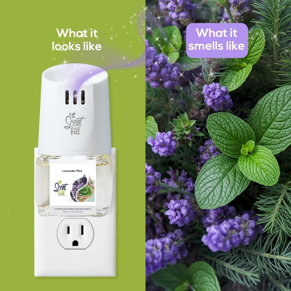 Split comparison graphic showing a Lavender Mint Scent Fill plug-in diffuser on an outlet under “What it looks like” and a close-up of lavender blooms and mint leaves under “What it smells like.”