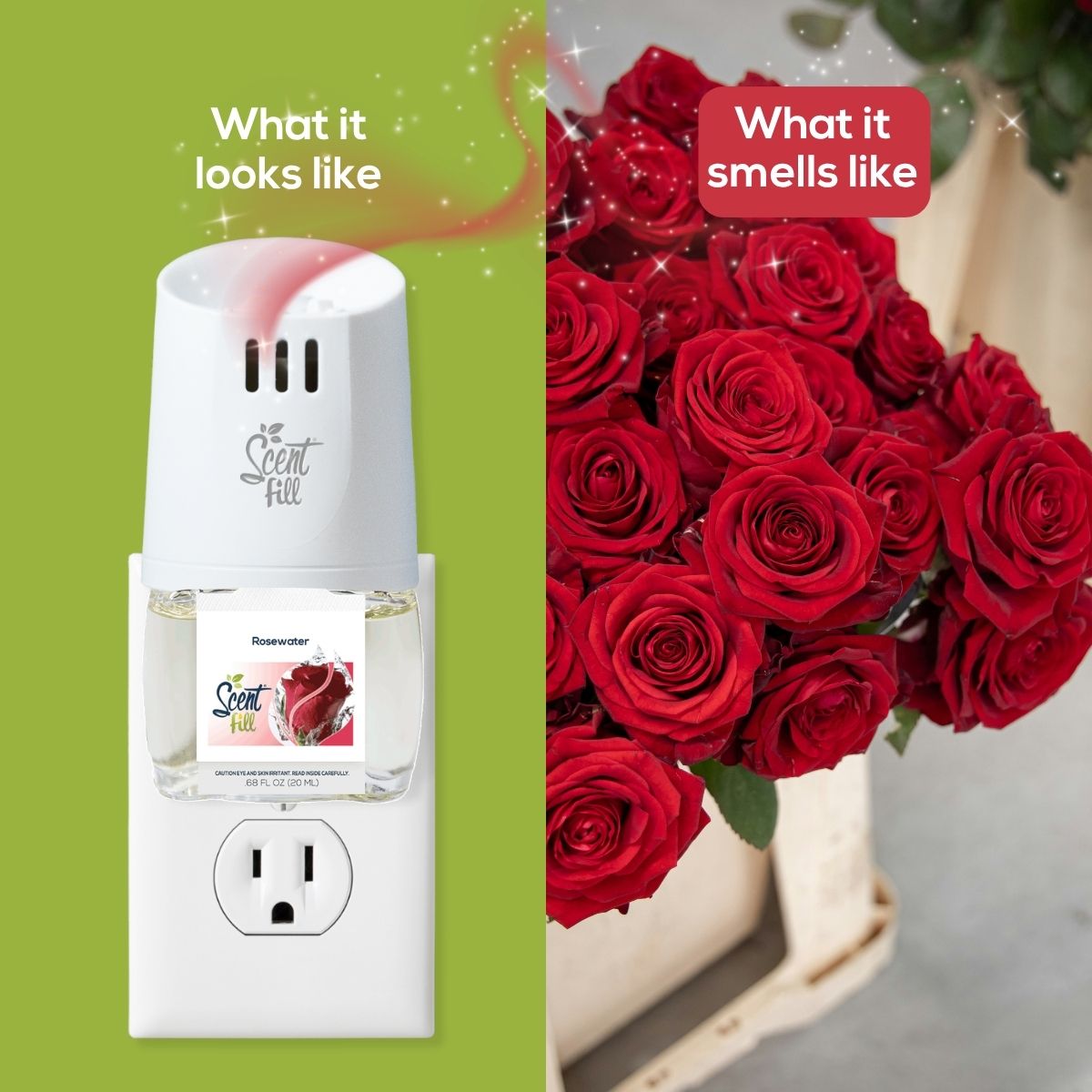 Split comparison graphic showing a Scent Fill plug-in diffuser with Rosewater fragrance bottle on the left under “What it looks like,” and a bouquet of deep red roses on the right under “What it smells like.”