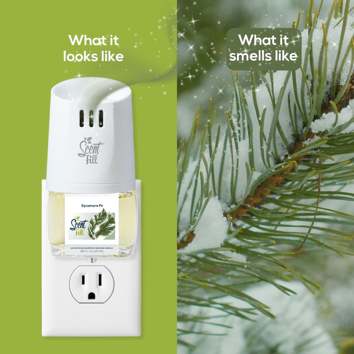 Split comparison graphic showing a Scent Fill plug-in diffuser with Sycamore Fir fragrance bottle on the left under “What it looks like,” and snow-dusted pine needles on the right under “What it smells like.”