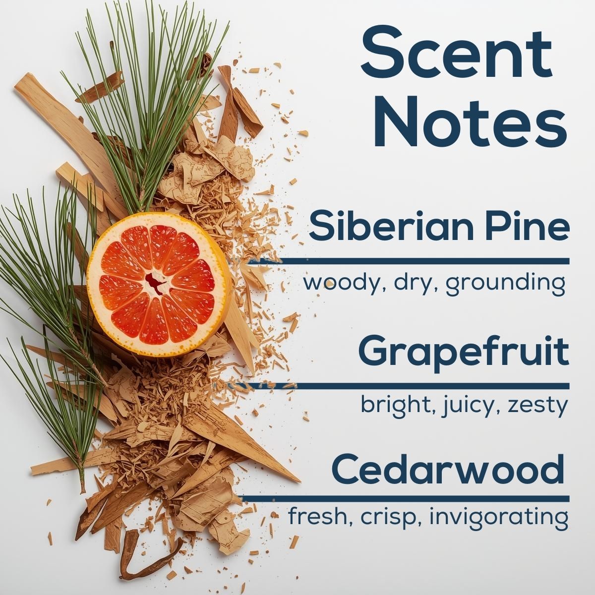 Scent Notes graphic featuring pine needles, wood shavings, and a sliced grapefruit on a light background, listing fragrance notes of Siberian pine, grapefruit, and cedarwood with descriptive scent qualities.