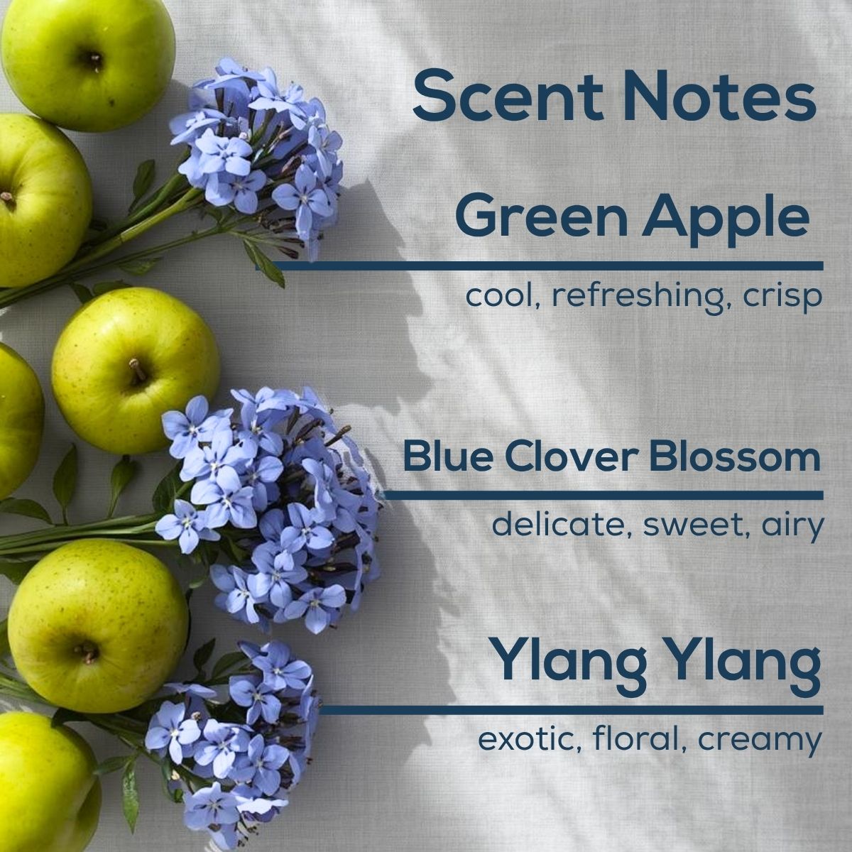 Scent notes graphic with green apples and clusters of soft blue flowers on a light fabric background, listing Green Apple as cool, refreshing, crisp; Blue Clover Blossom as delicate, sweet, airy; and Ylang Ylang as exotic, floral, creamy.