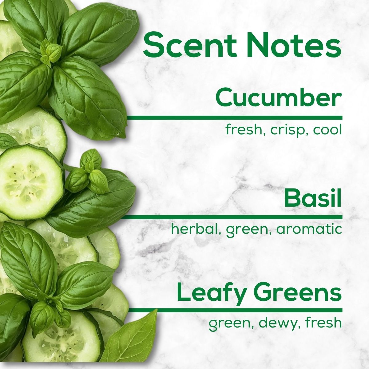 Scent notes graphic featuring fresh cucumber slices and basil leaves with text describing cucumber, basil, and leafy greens notes.