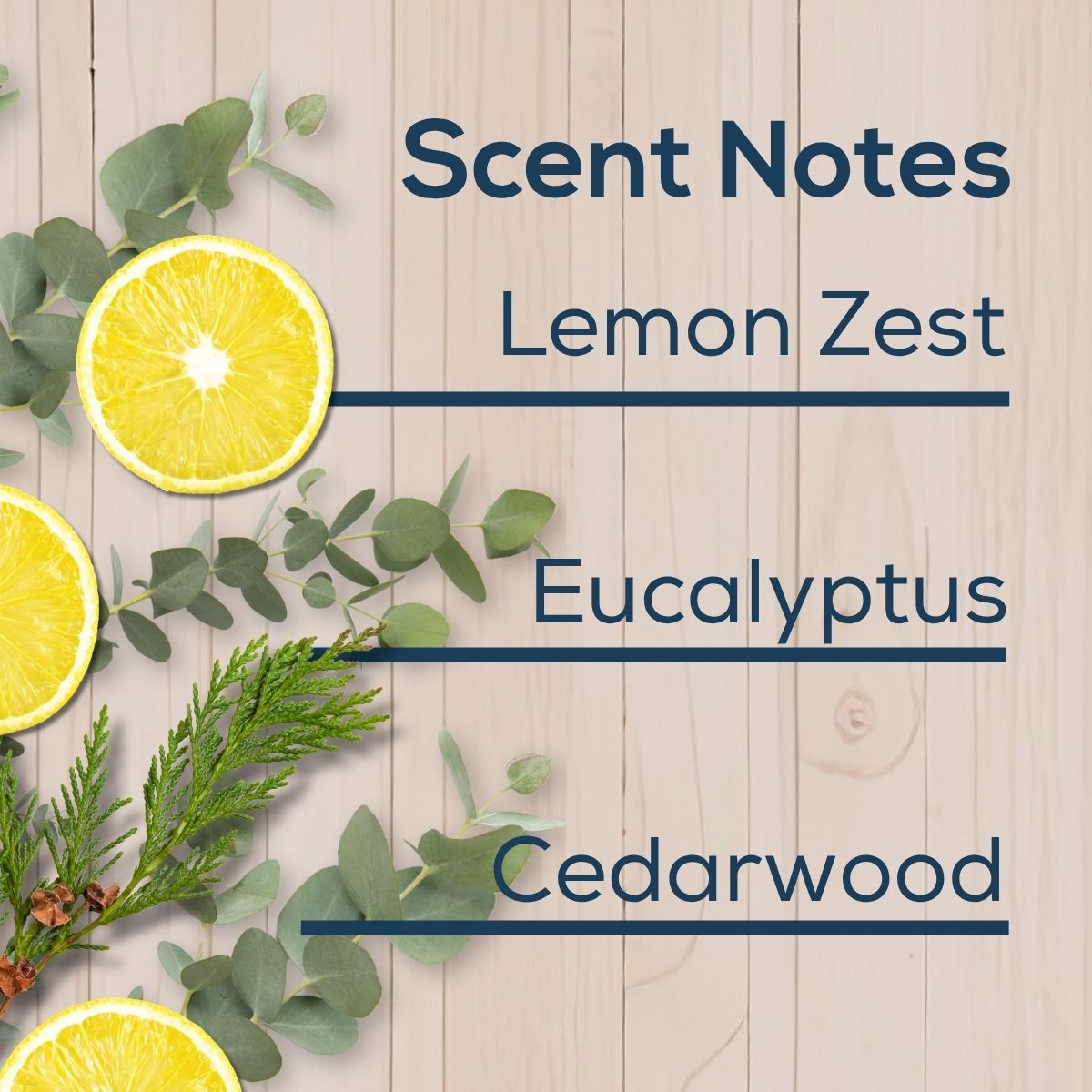 Scent notes graphic with lemon slices, eucalyptus leaves, and cedar greenery on a light wood background, listing Lemon Zest, Eucalyptus, and Cedarwood.