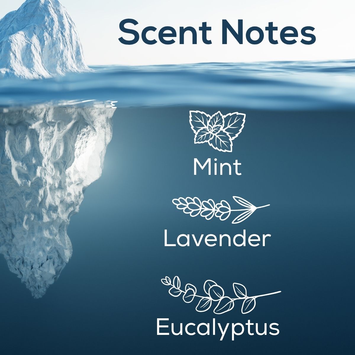 Natural Glacier scent notes graphic featuring an iceberg in blue water with notes of mint, lavender, and eucalyptus.