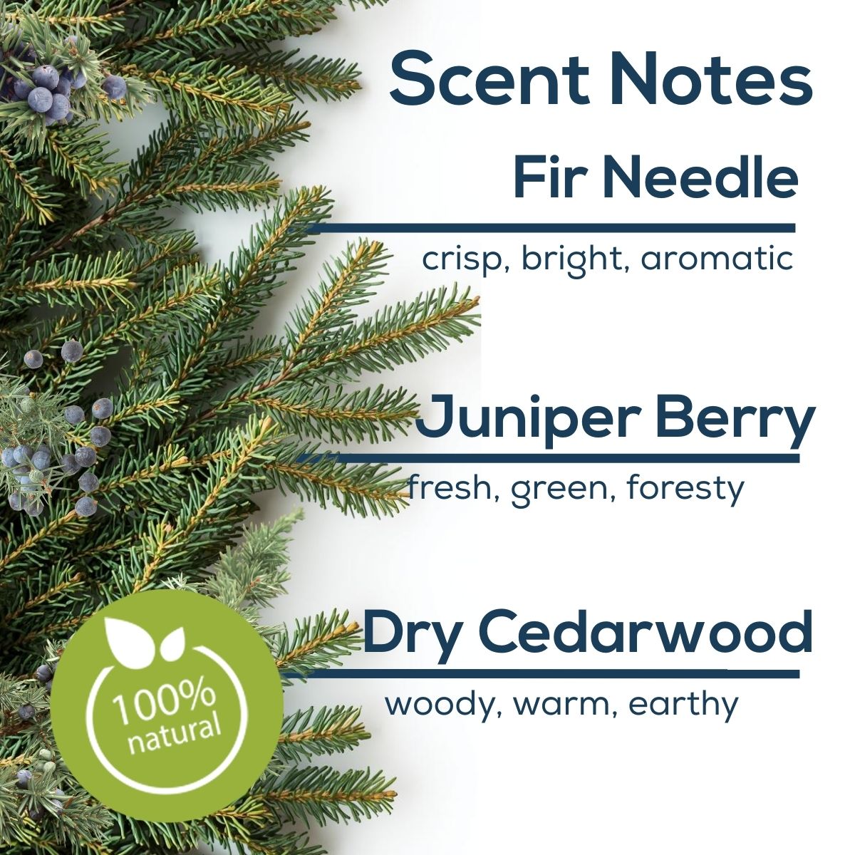 Scent Notes graphic featuring evergreen branches and juniper berries on a light background, listing fragrance notes of fir needle, juniper berry, and dry cedarwood, with a 100% natural badge.