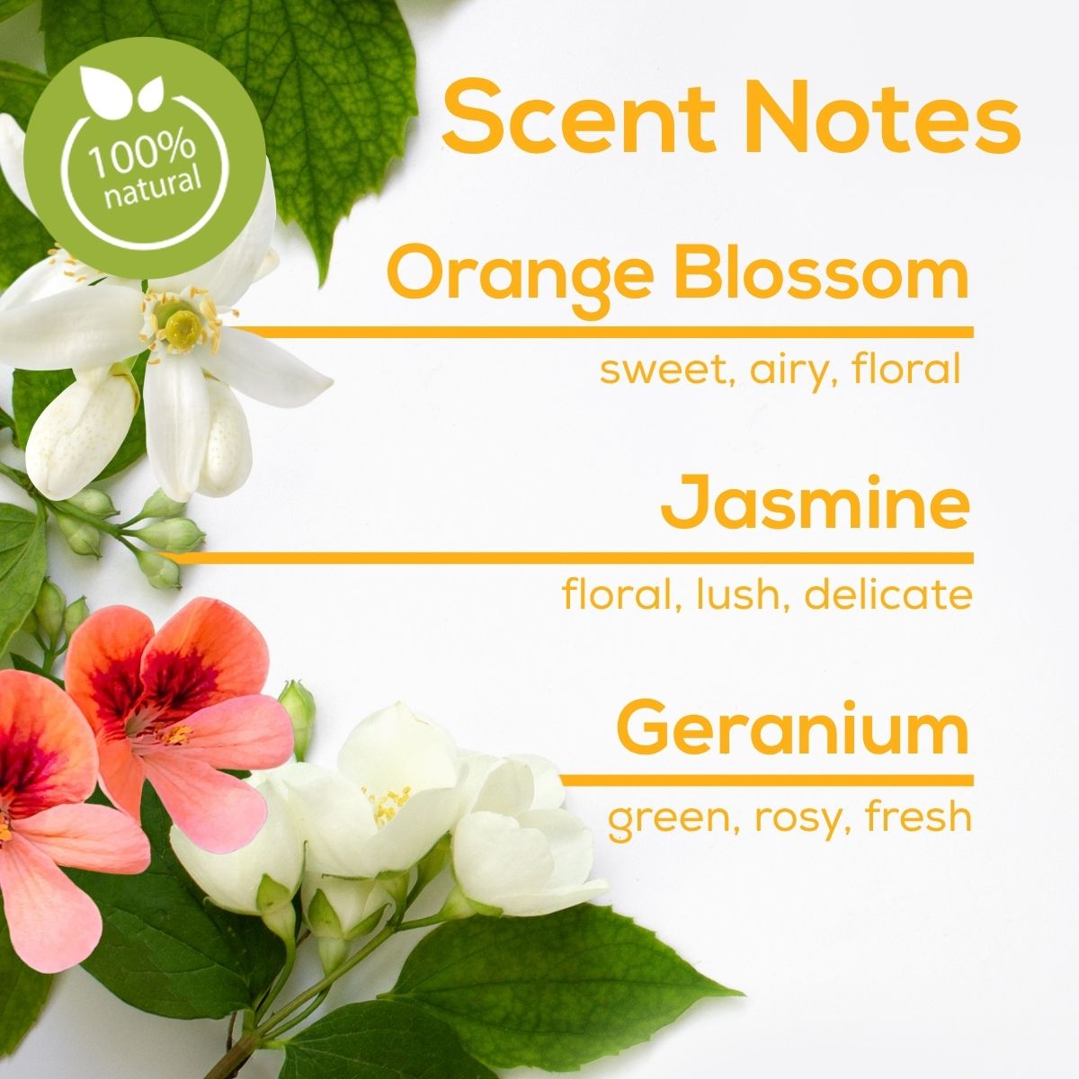 Scent notes graphic with white and pink flowers and green leaves, featuring a 100% natural badge and the scent notes: Orange Blossom—sweet, airy, floral; Jasmine—floral, lush, delicate; Geranium—green, rosy, fresh.