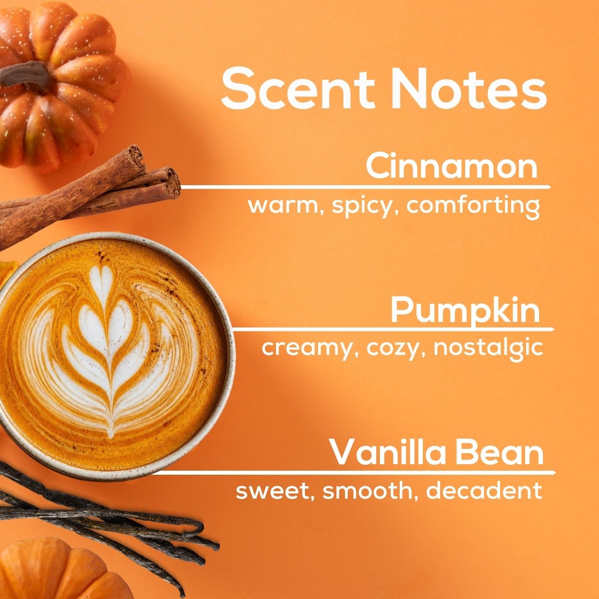 NEW! 100% Natural Pumpkin Spice Plug in Air Freshener Refill