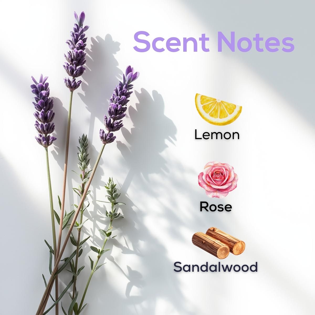 Clary Sage & Lavender scent notes graphic featuring lavender sprigs with notes of lemon, rose, and sandalwood.