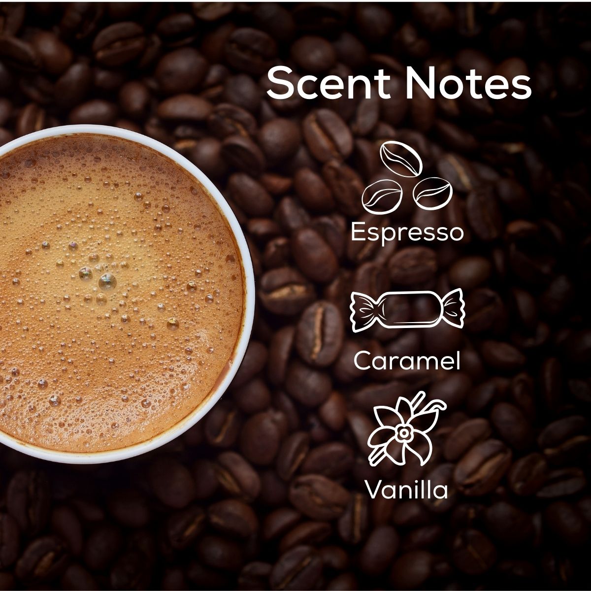 Coffee House Plug in Air Freshener Refill