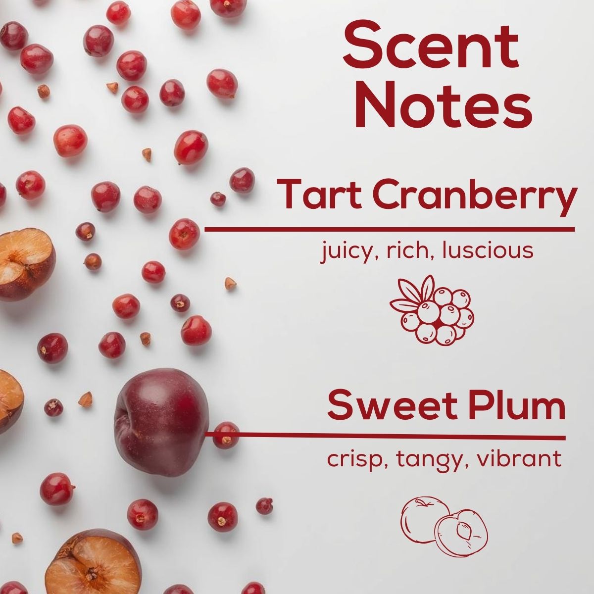 Split image comparing the Scent Fill Cranberry Plum plug-in air freshener. On the left, against a green background, a white Scent Fill plug-in diffuser unit is shown plugged into a wall outlet with the Cranberry Plum refill bottle inserted — labeled 