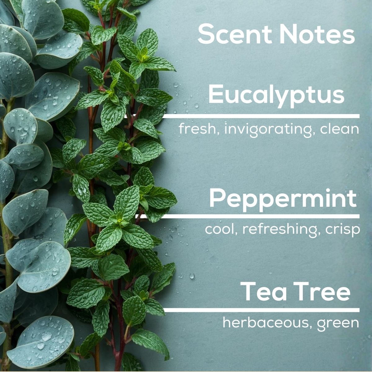 Eucalyptus Spearmint Plug in Air Freshener Refill