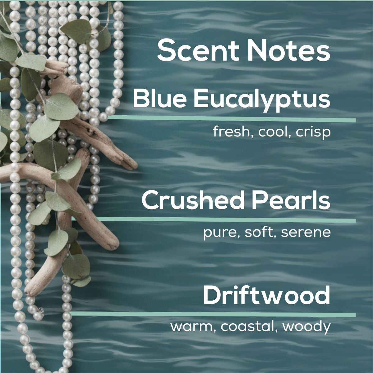 NEW! Freshwater & Pearls Plug in Air Freshener Refill