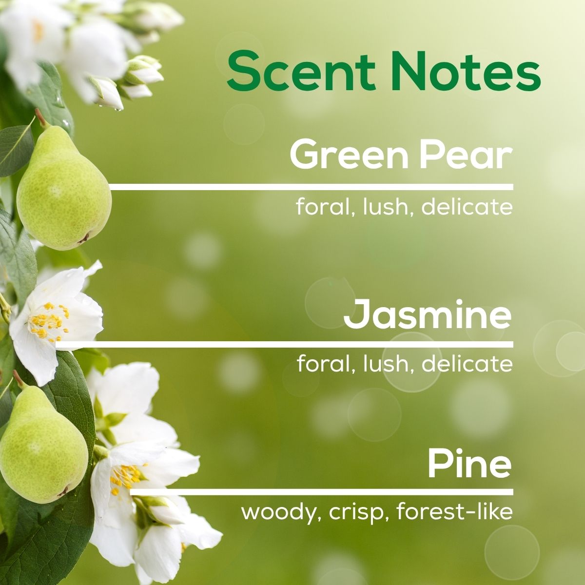 Green Clover & Aloe Plug in Air Freshener Refill