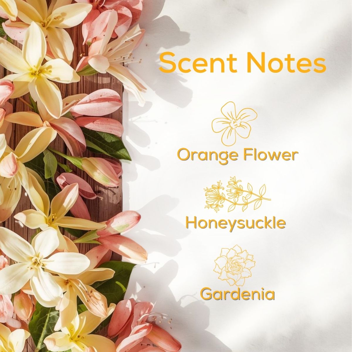 Scent notes graphic with soft yellow and blush flowers on the left and text listing Orange Flower, Honeysuckle, and Gardenia on the right.