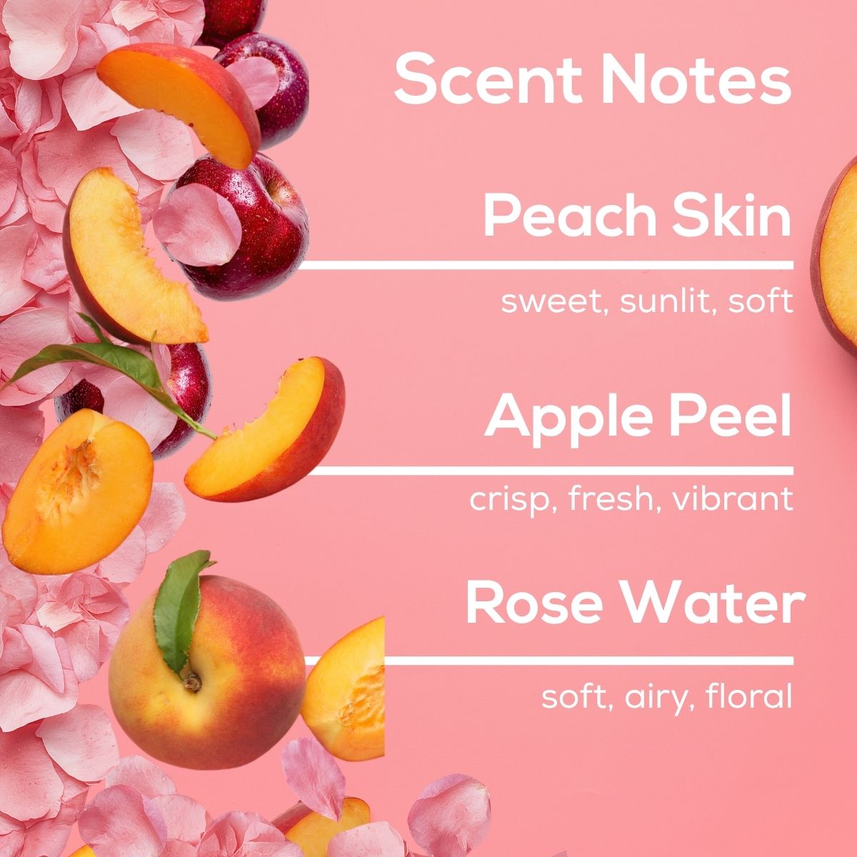 Peach Blossom scent notes graphic featuring peaches, apple slices, rose petals, and notes of peach skin, apple peel, and rose water.