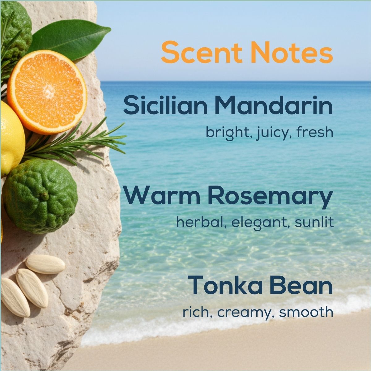 NEW! Mediterranean Citrus Plug in Air Freshener Refill