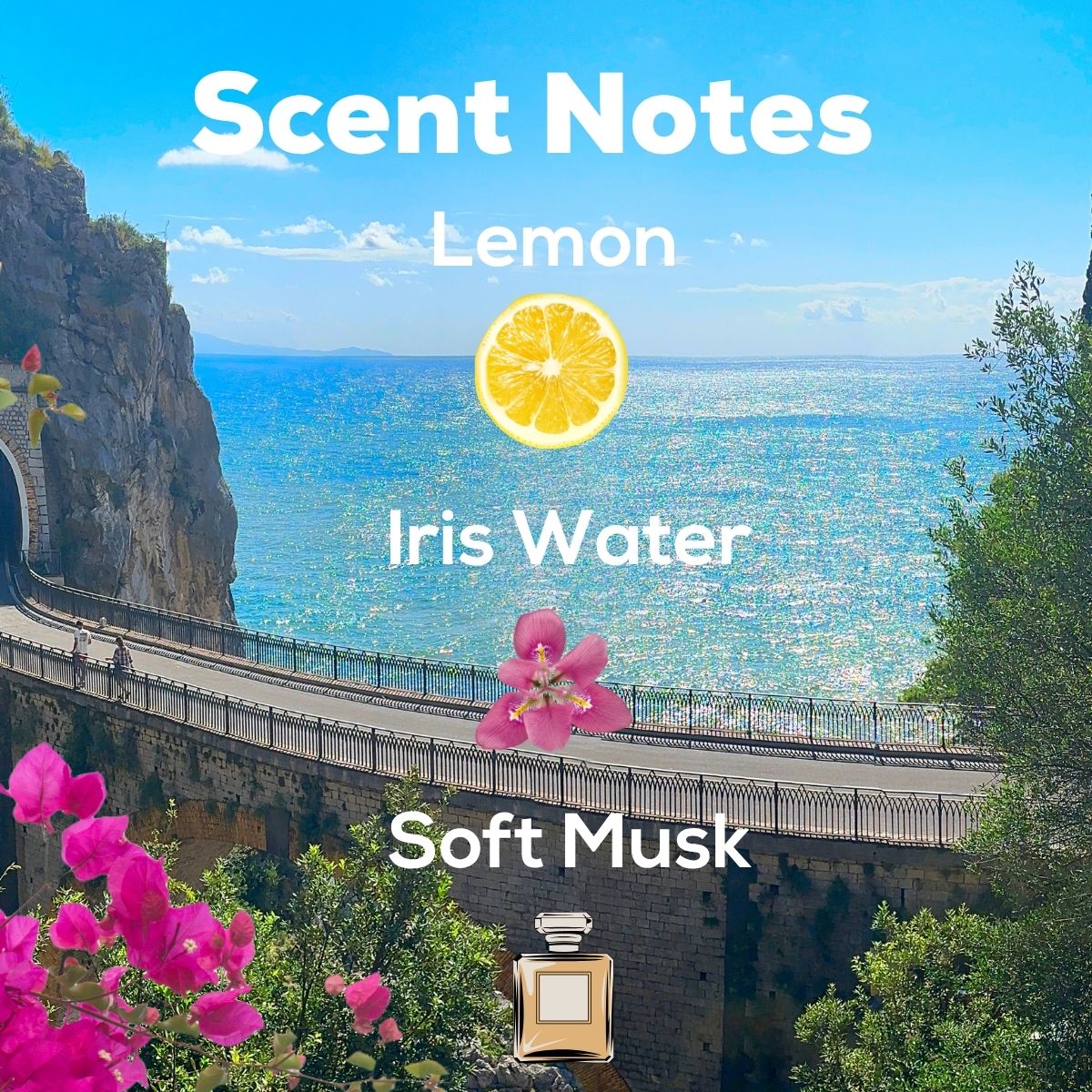Olive & Amalfi Mist scent notes graphic featuring a sunny coastal view with notes of lemon, iris water, and soft musk.