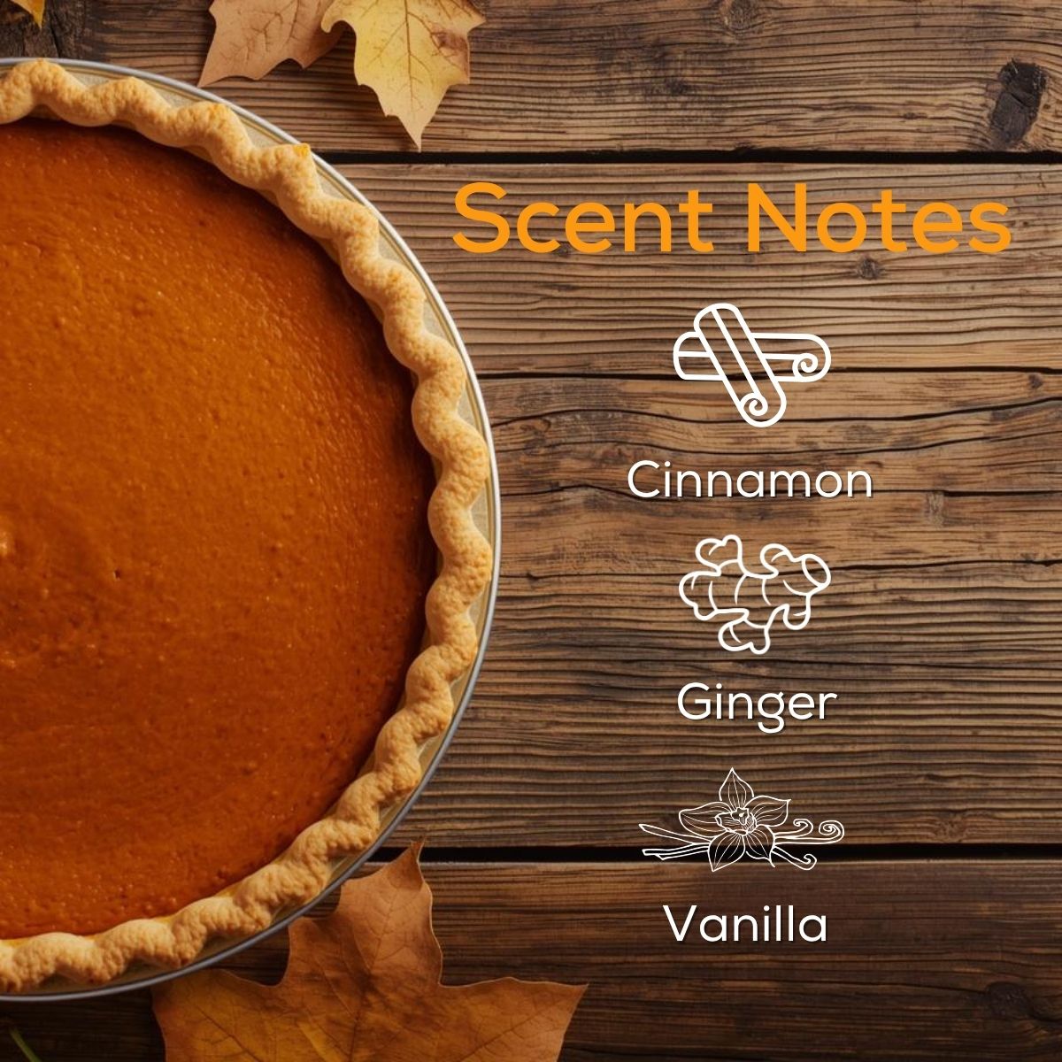 Pumpkin Pie Plug in Air Freshener Refill