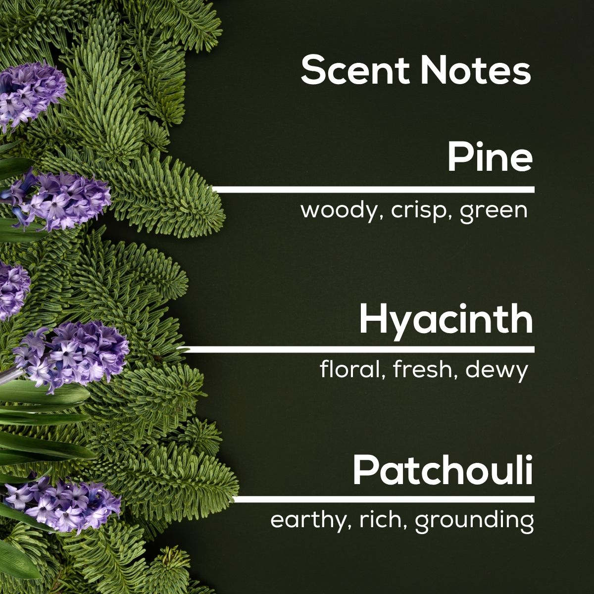 Scent notes graphic with evergreen branches and purple hyacinth blooms on a dark green background, listing Pine as woody, crisp, green; Hyacinth as floral, fresh, dewy; and Patchouli as earthy, rich, grounding.