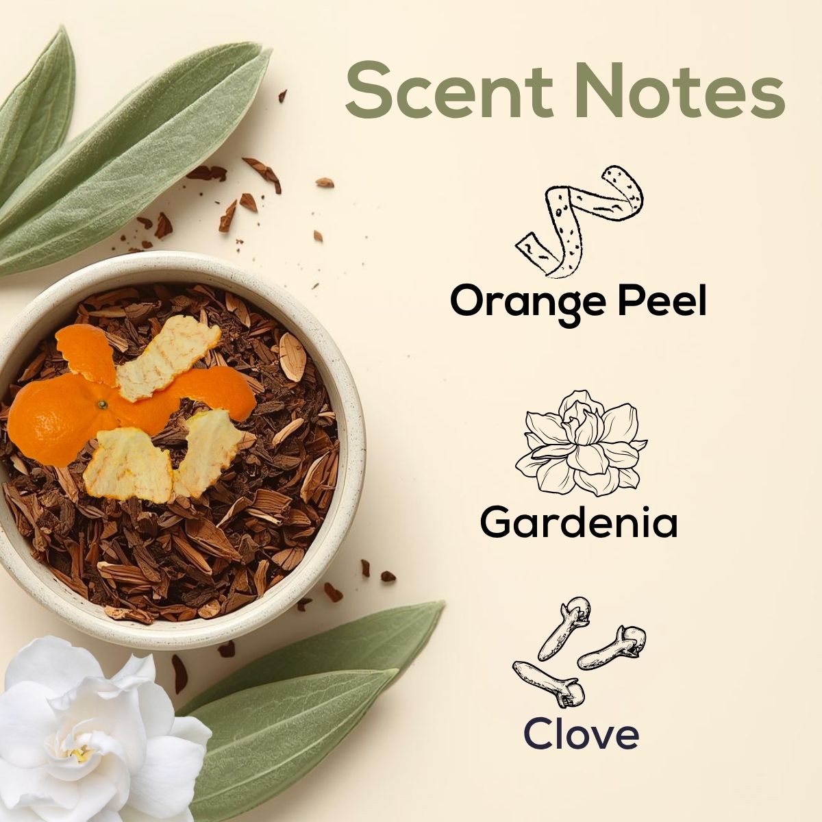 Scent notes graphic with sage leaves, a bowl of dried botanicals topped with orange peel, and a white gardenia on a soft cream background, listing Orange Peel, Gardenia, and Clove.
